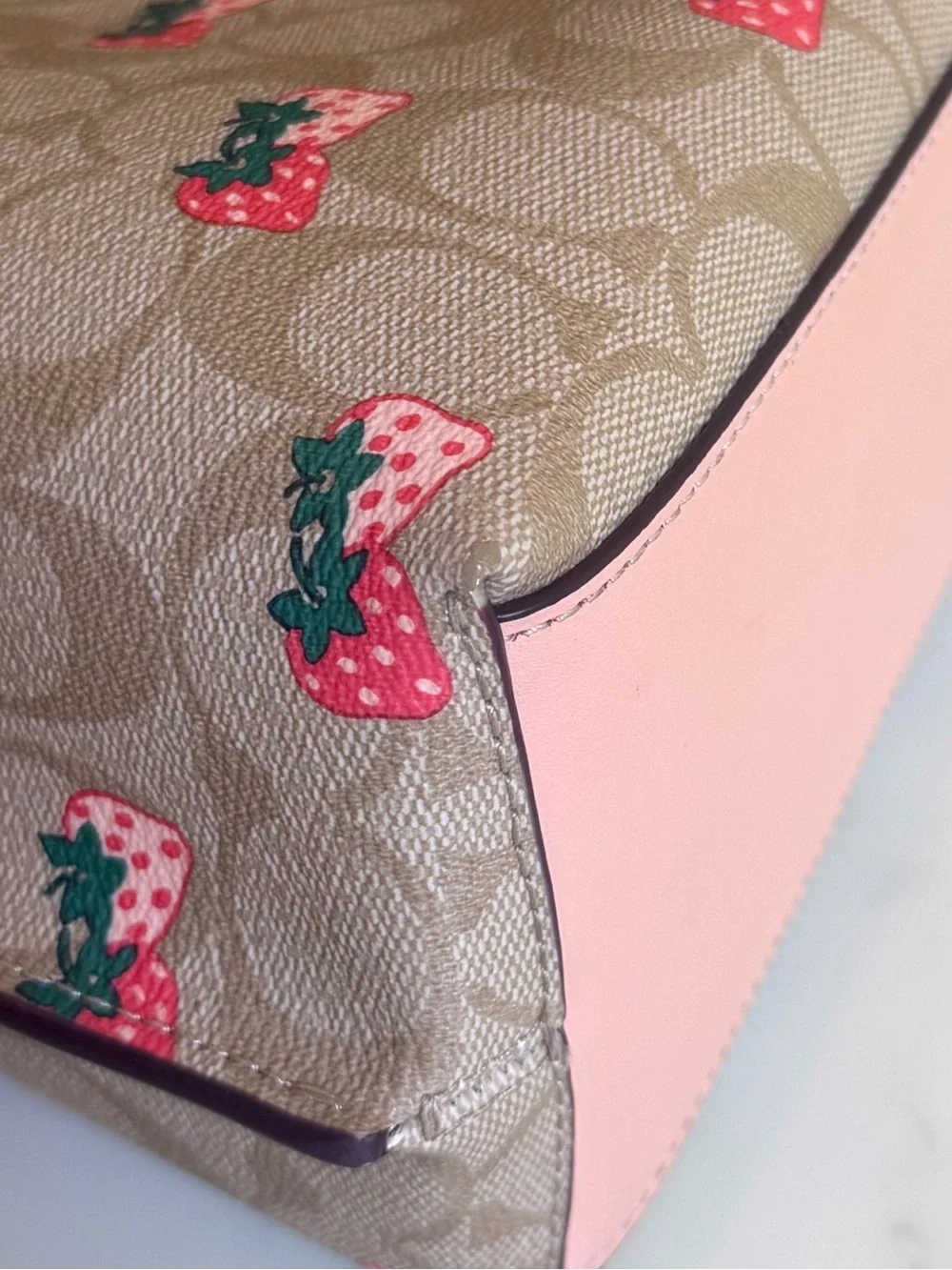 Coach Mollie Bucket Bag 22 In Signature Canvas With Strawberry Print CB602